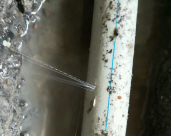 梨树卫生间测漏水多少钱