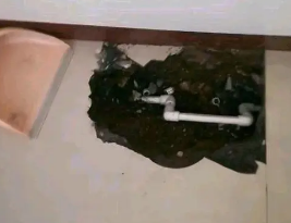 梨树卫生间测漏水多少钱